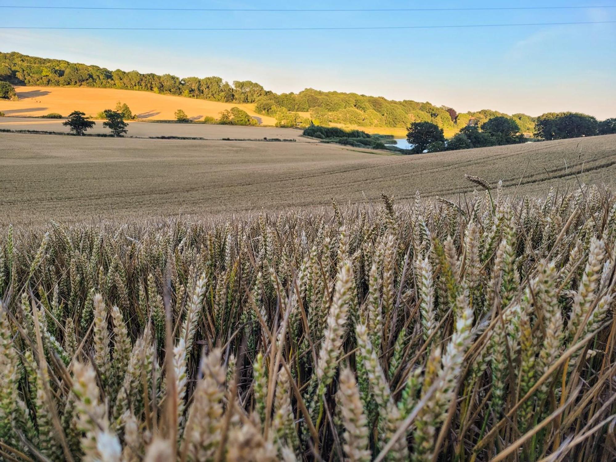 Hayfield Haven-uk40691