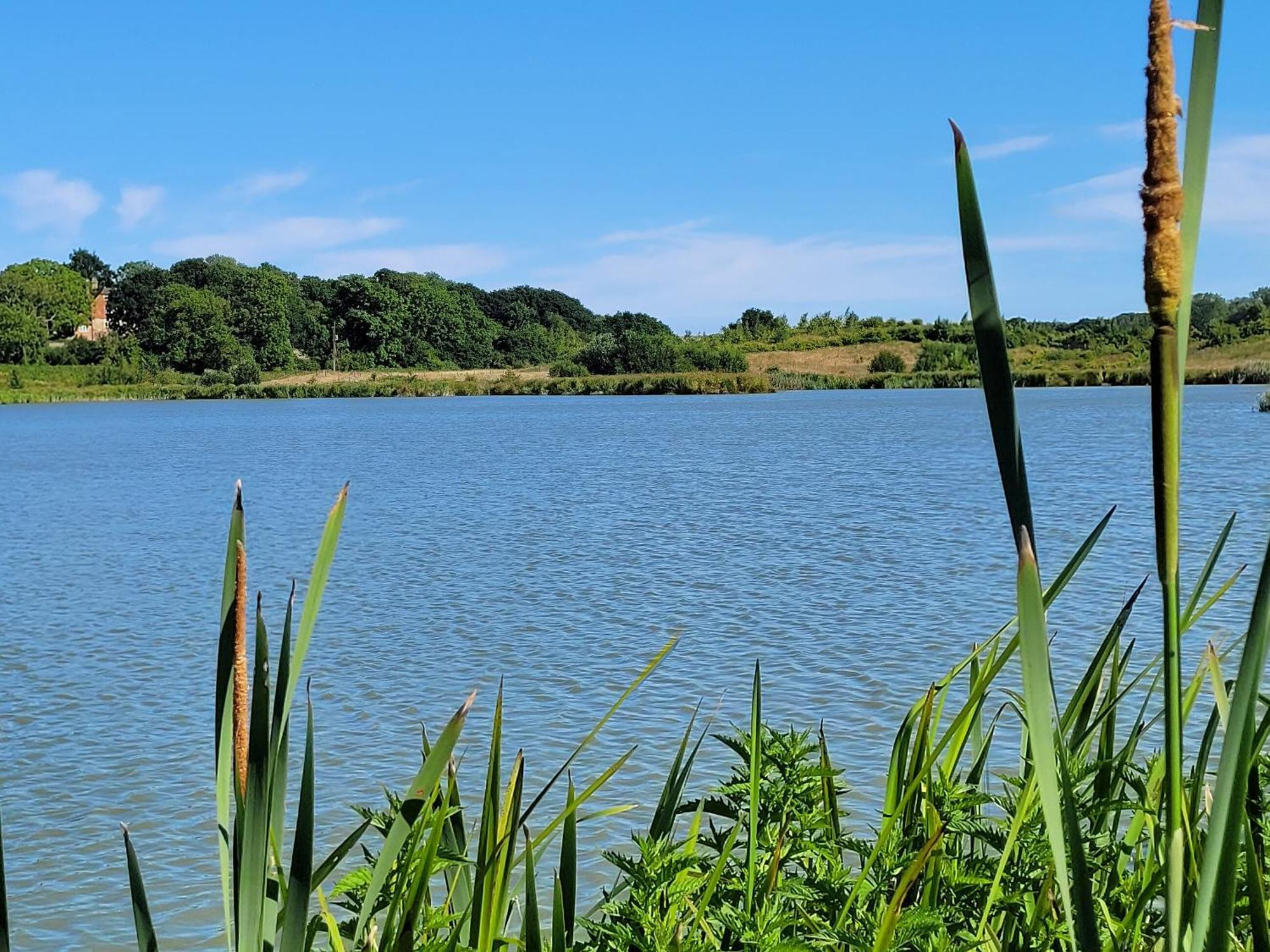 Holiday home Hayfield Haven-uk40691 Crowhurst (East Sussex)