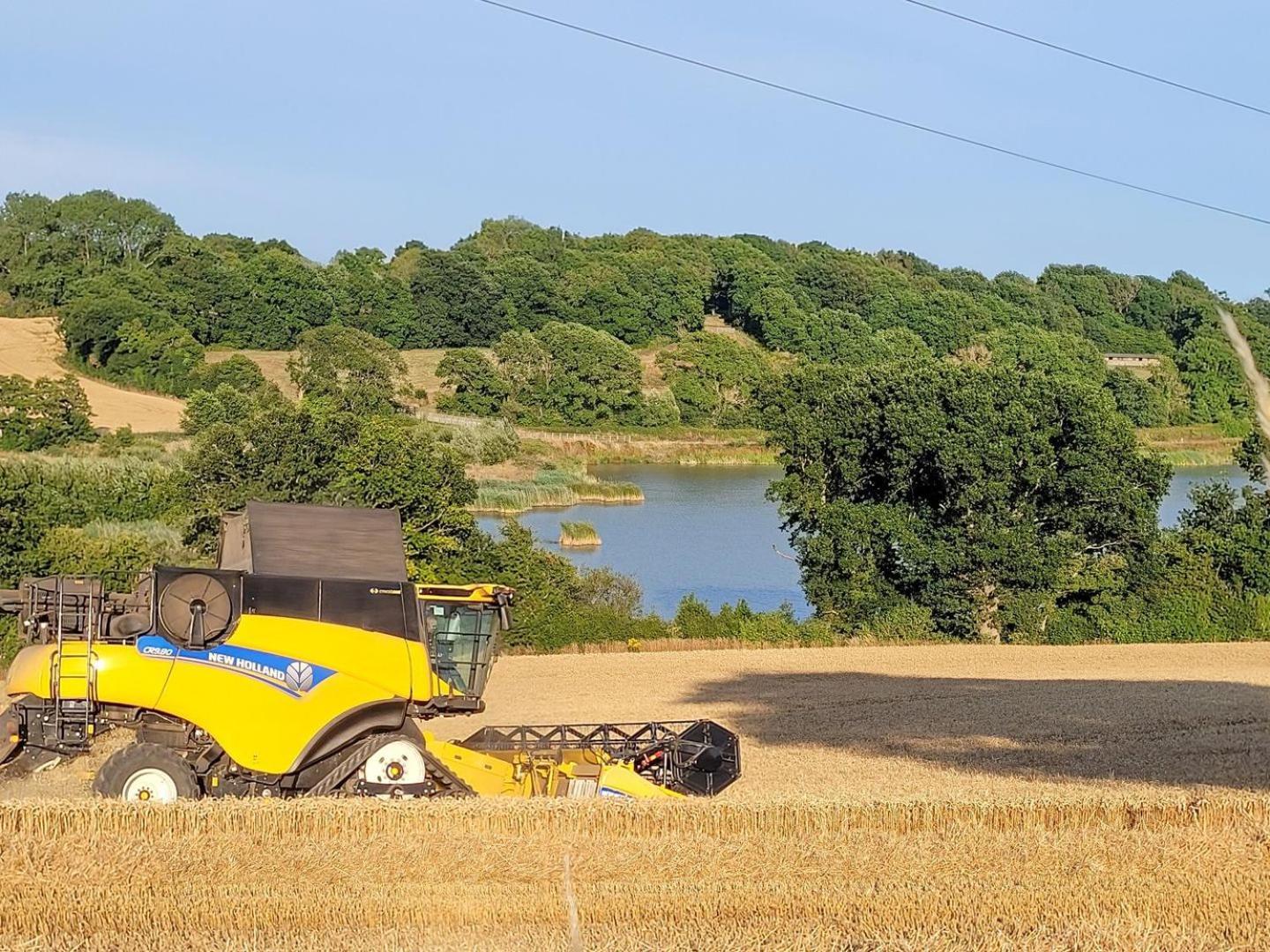 Hayfield Haven-uk40691 Crowhurst (East Sussex)